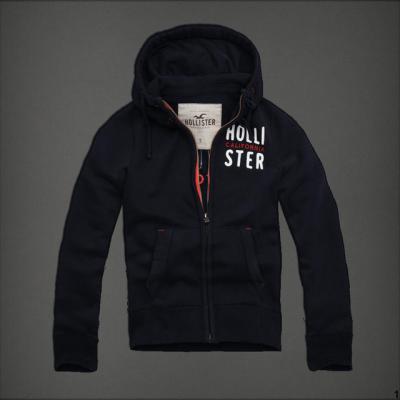 Hollister Men Hoodies-19